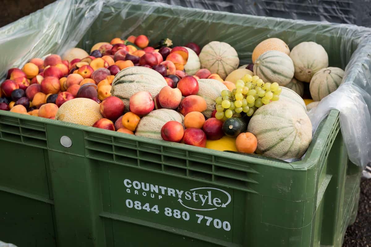 Food waste collection