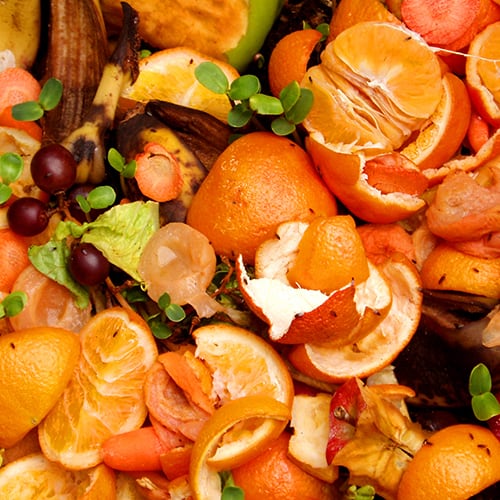 Food Waste Collection