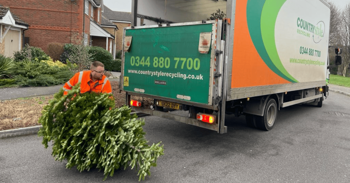 Pilgrims Hospices Christmas Tree Recycling